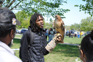 Man wearing a falconry glove holding up and presenting a bird of prey to a small crowd