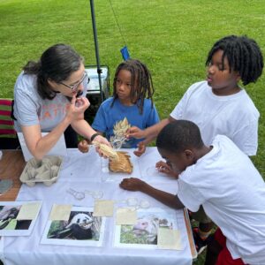Woman teaching 3 youths about animal chewing characteristics at an interactive installation outdoors in a park field