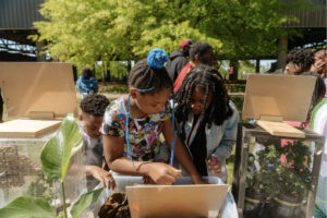 Youths tending to a compost or growth bin exhibit in a sunny park at NatureFest 2024